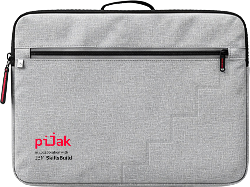 Sleeve Laptop
